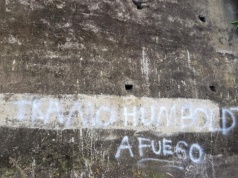 Mieszkańcy La Orotavy zmęczeni nielegalnymi wyścigami przy Mirador de Humboldt