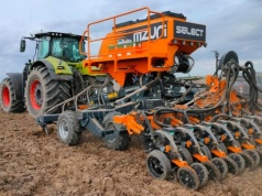 Burak potrzebuje wygrzanej gleby