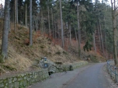 Czasowe zamknięcie ścieżki rowerowej z powodu wycinki drzew