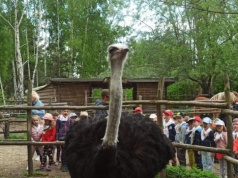Poznań – skandaliczna decyzja prokuratury! Rusza proces Jakuba G. oskarżonego w sprawie zabójstwa i zgwałcenia strusia Zenka