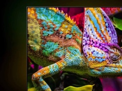 Najlepszy model telewizora Hisense 55 cali prawie 900 zł taniej i z bonusem