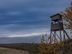 Śmiertelny wypadek na polowaniu. Sprawca został zatrzymany