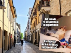 Włochy: matka pozwała swojego 31-letniego syna za obijanie się i niedokładanie się do rachunków