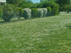 Jak sprawdzić działkę budowlaną?