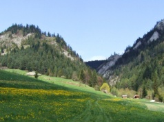 Najpiękniejsza trasa w Pieninach. Zgodnie z legendą ukryto tu skarb