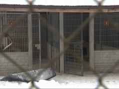 Sprawa schroniska w Sobolewie.  Sąd zdecydował ws. właściciela