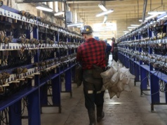 Z kopalń na tory. Byli górnicy znajdą zatrudnienie na kolei