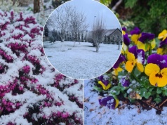Przełom w pogodzie jest pewny. Ciepła wiosna znika, wraca chłód i deszcz. Co z pogodą na Wielkanoc?