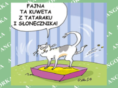 Polacy stworzyli superekologiczny materiał z roślin