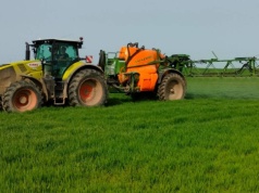 Opryski w czasie przymrozków. Co może stać się roślinom?