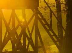 Myśliwy, który śmiertelnie postrzelił swojego kolegę, spożywał wcześniej alkohol