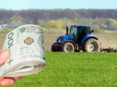 Płatność dla małych gospodarstw. Tyle wyniesie dopłata w 2026 roku