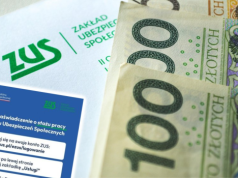 ZUS zalany wnioskami o staż pracy. Bez tego dokumentu stracisz urlop i pieniądze