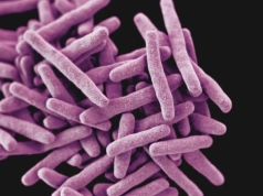 „To nie tylko choroba płuc, ale też choroba godności”. Eksperci: Ryzyko zachorowania w Polsce może rosnąć