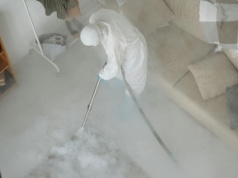 Dezynsekcja w Katowicach — praktyczny poradnik dla mieszkańców