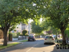 13-latek wyszedł do szkoły i nigdy nie wrócił. Sprawa wciąż bez odpowiedzi