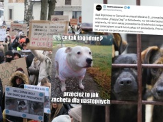 Sąd skazał właściciela patoschroniska w Sobolewie, podkreślono, że nie ma okoliczności łagodzących jego winę