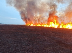 Pożar trzcinowiska oraz samochodu ciężarowego