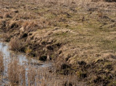Zaginęła przed świętami po kłótni z partnerem. Właśnie odnaleziono jej zwłoki