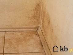 Zaczyna się od wilgoci przy podłodze. Rachunek za taką naprawdę jest ogromny