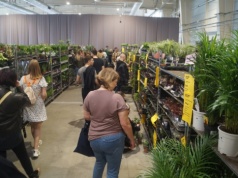 Do Lublina powraca Festiwal Roślin. Królować będą kwiaty doniczkowe, ogrodowe oraz balkonowe