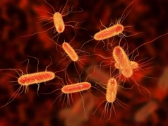 Nawet 10 mln zgonów w ciągu roku. WHO: Skuteczność leków coraz bardziej ograniczona