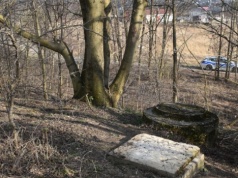 Chłopcy bawili się na dzikich łąkach. Nagle jeden z nich zniknął