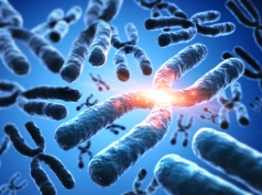 Szybka diagnoza skutków promieniowania. Jak działa program MaksChroms?