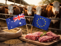 Nowa umowa handlowa UE–Australia. Szansa czy kolejny cios dla polskiego rolnictwa?