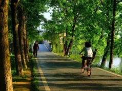 Robienie kroków czy jazda na rowerze? Co lepiej pozwala zrzucić kilogramy?