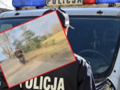 Bulwersujące zachowanie 72-latka. Ciągnął psa na sznurku, zwierzę nie przeżyło