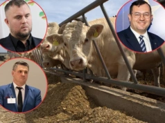 Rolnicy: państwo zawiodło. Minister tłumaczy brak skargi do TSUE