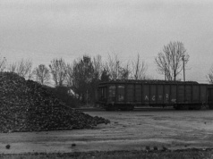 AKTUALIZACJA: Kto zarobił na trefnym węglu? Afera węglowa Morawieckiego