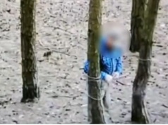 76-letni kłusownik zatrzymany. Mężczyzna rozstawiał wnyki między drzewami