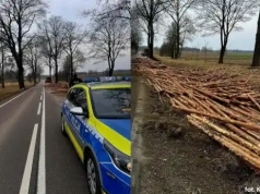 Ciężarówka „zgubiła” drewno. Droga wojewódzka częściowo nieprzejezdna