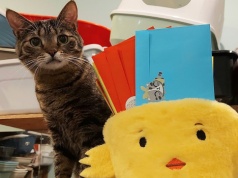 Wielkanocny Zajączek dla bezdomnego zwierzaka