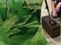 Co skrywał wrak z dna Bałtyku? Badacze ujawnili zawartość skrzynki