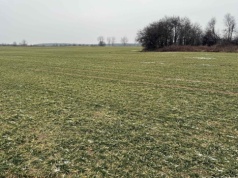 Zgłaszanie strat w uprawach po zimie 2026 ruszyło. Bez wniosku nie będzie pomocy