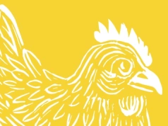 "Kurcze blade, niech Cię gęś kopnie. Drób w Polsce dawniej i dziś." - zapraszamy na wystawę do Ciechanowca