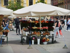 Krakowskie kwiaciarki z Rynku Głównego –  tradycja czy przetarg. Co dalej?