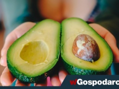 Po czym poznasz dobre awokado?