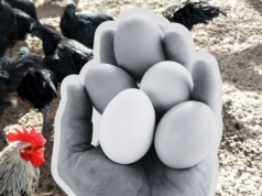 Pogrzeb jajka "trójki". Więcej miejsca, lepszy majonez i... wyższa cena