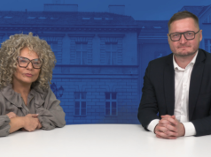 Paweł Adamów o zieleni: wycinki drzew trzeba tłumaczyć wcześniej