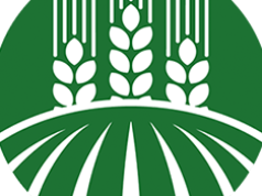 Presja rośnie, narzędzi ubywa. PSOR publikuje ważny raport