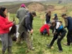 Mieszkańcy sadzą tysiące drzew, by chronić domy przed powodzią