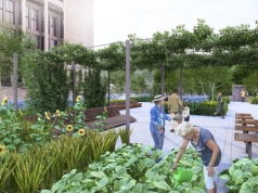 Będzie można uprawiać warzywa przed Muzeum Narodowym? Jest taki pomysł