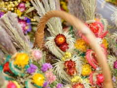 Słowiańskie korzenie i masa przesądów, czyli wielka moc wielkanocnej palmy