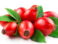 Owoce dzikiej róży: Zapomniane lekarstwo natury na zapalenie stawów i nie tylko