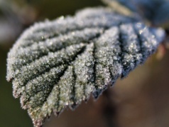 Przymrozki w całym województwie. IMGW wydał ostrzeżenie