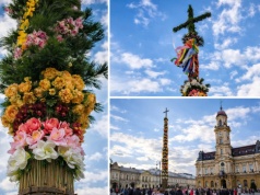 Gigantyczna palma stanęła w sercu Nowego Sącza. Ma prawie 30 metrów i robi ogromne wrażenie